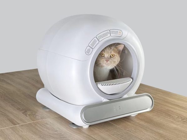 auto cat litter box