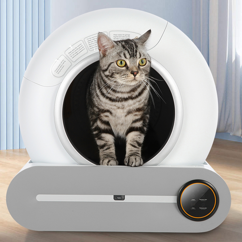 Auto cat toilet