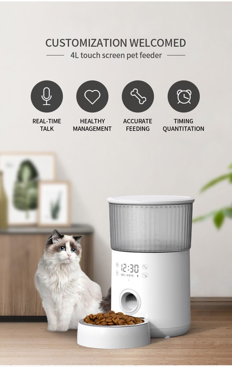 Automatic Pet Food Dispenser (1)