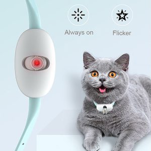 Cat laser collar