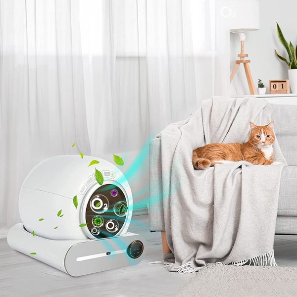 Cat litter automatic box