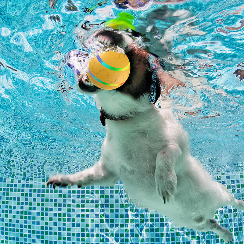 IP54 waterproof dog ball