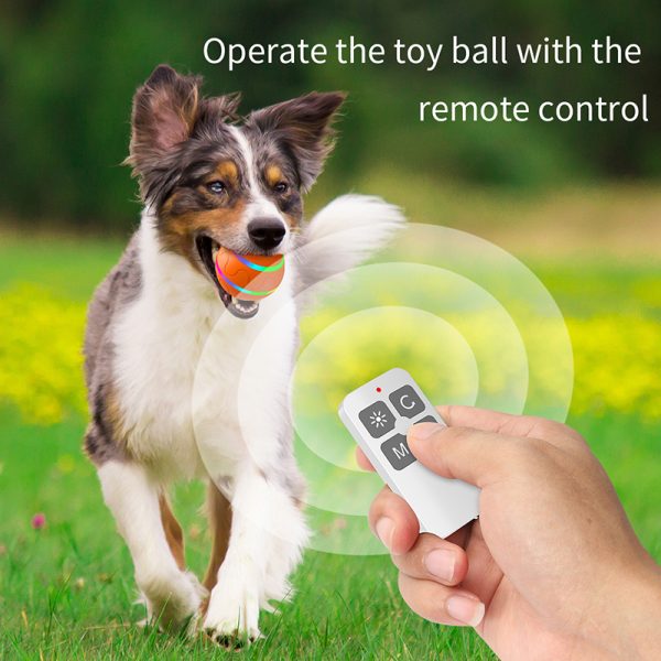 Smart dog ball with remote control