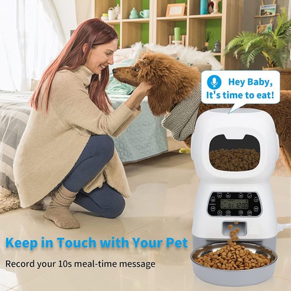 auto pet feeder