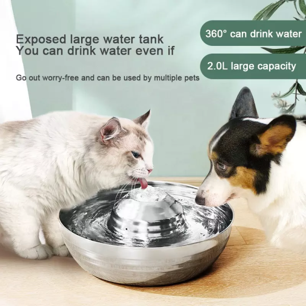 cat drink water fountain