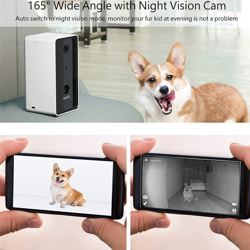 dog feeder camera