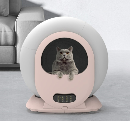 cat potty