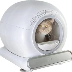 cat litter box