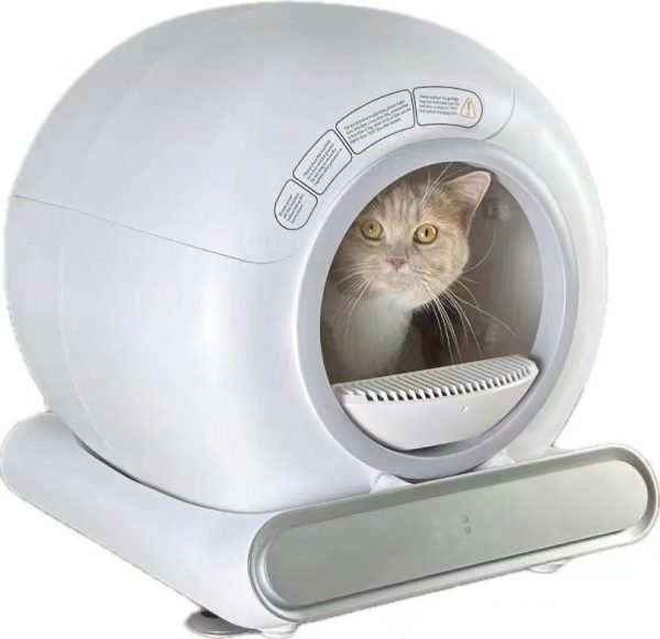 cat litter box